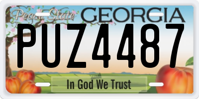 GA license plate PUZ4487