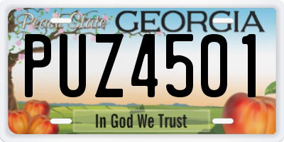 GA license plate PUZ4501