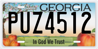 GA license plate PUZ4512