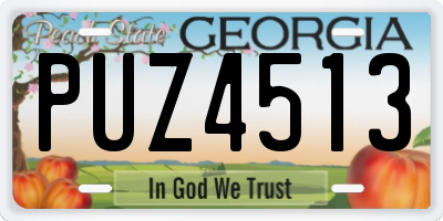 GA license plate PUZ4513
