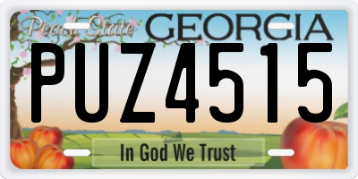 GA license plate PUZ4515