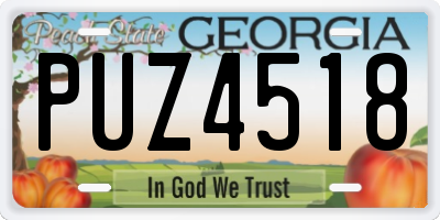 GA license plate PUZ4518