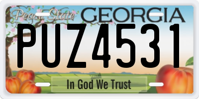 GA license plate PUZ4531