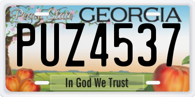 GA license plate PUZ4537