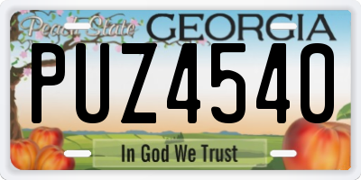 GA license plate PUZ4540