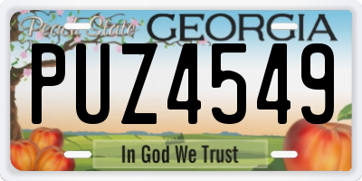GA license plate PUZ4549