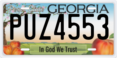 GA license plate PUZ4553