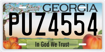 GA license plate PUZ4554
