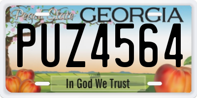 GA license plate PUZ4564
