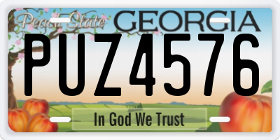 GA license plate PUZ4576