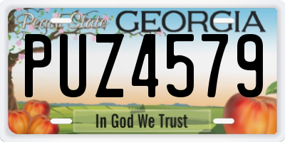 GA license plate PUZ4579