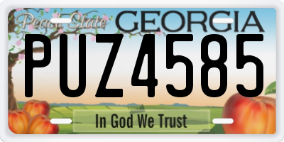 GA license plate PUZ4585