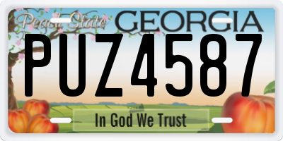 GA license plate PUZ4587