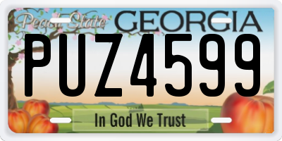 GA license plate PUZ4599