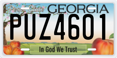 GA license plate PUZ4601