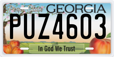 GA license plate PUZ4603