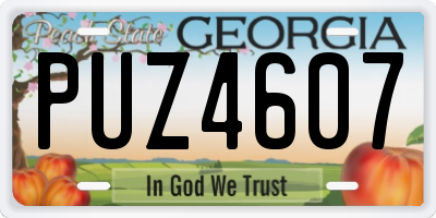 GA license plate PUZ4607