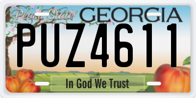 GA license plate PUZ4611