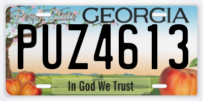 GA license plate PUZ4613