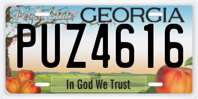 GA license plate PUZ4616