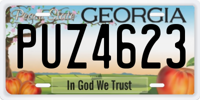 GA license plate PUZ4623