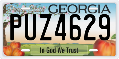 GA license plate PUZ4629