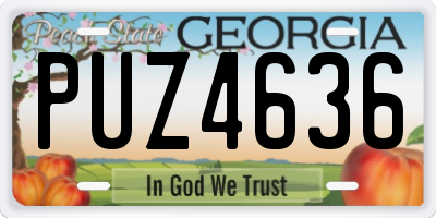 GA license plate PUZ4636
