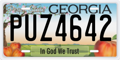 GA license plate PUZ4642