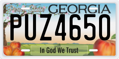 GA license plate PUZ4650