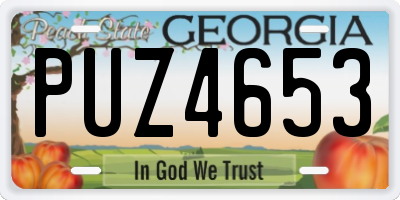 GA license plate PUZ4653