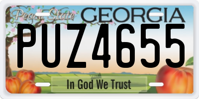 GA license plate PUZ4655