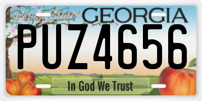GA license plate PUZ4656