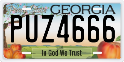 GA license plate PUZ4666