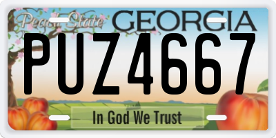 GA license plate PUZ4667