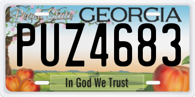 GA license plate PUZ4683