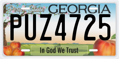 GA license plate PUZ4725