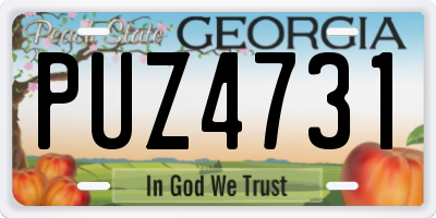 GA license plate PUZ4731