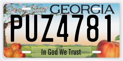 GA license plate PUZ4781
