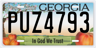 GA license plate PUZ4793