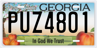 GA license plate PUZ4801