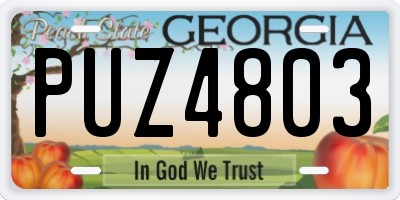 GA license plate PUZ4803
