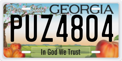GA license plate PUZ4804
