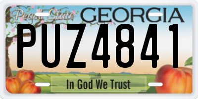 GA license plate PUZ4841