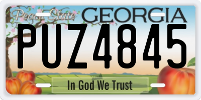 GA license plate PUZ4845