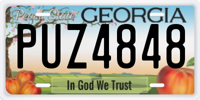 GA license plate PUZ4848