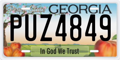 GA license plate PUZ4849
