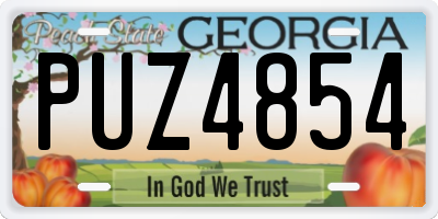 GA license plate PUZ4854