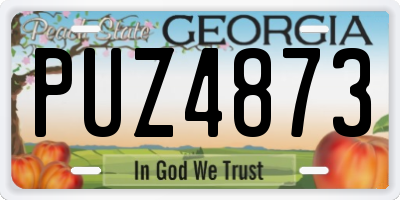 GA license plate PUZ4873