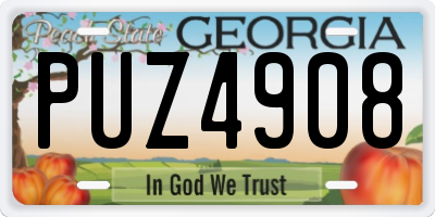 GA license plate PUZ4908