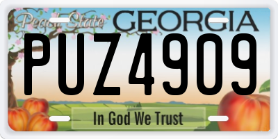 GA license plate PUZ4909